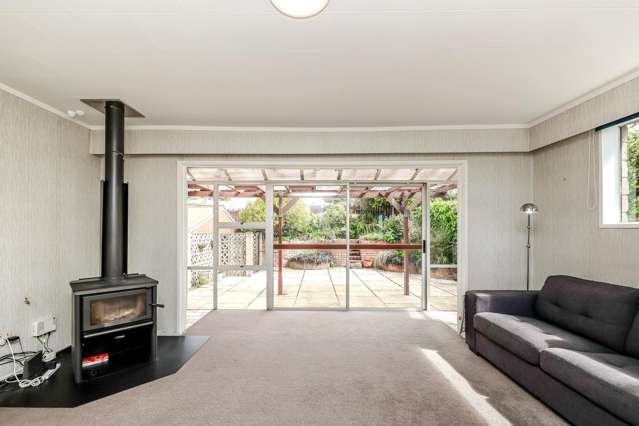 28 Hastings Street Wakari_4