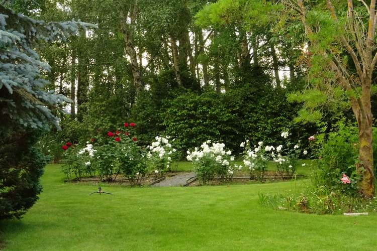 1118 Tram Road Swannanoa_5