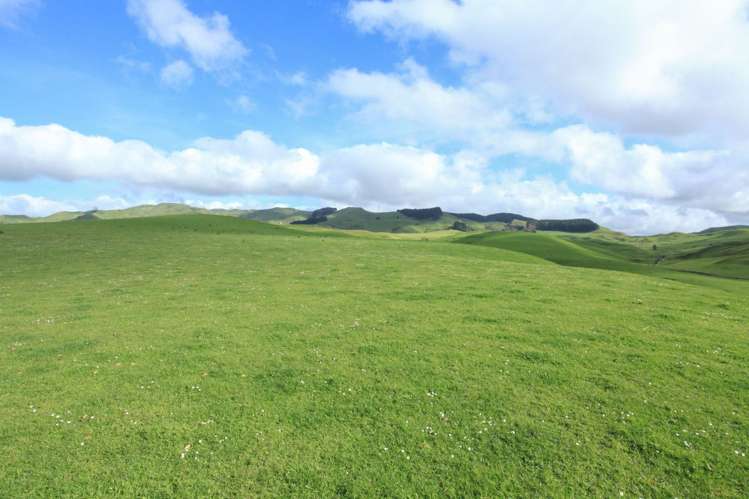 30 Van Houtte Road Raglan_3