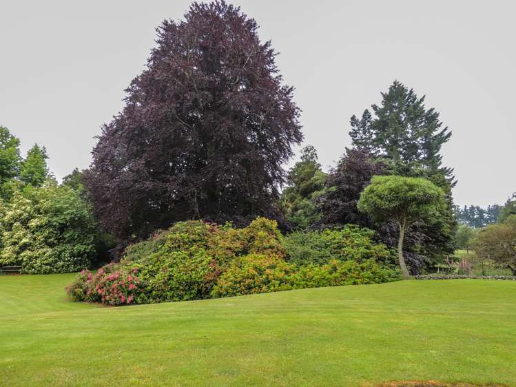 52 Rae Road Geraldine_17