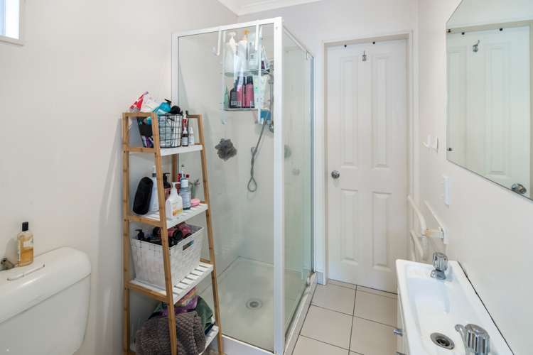 146a Aro Street Aro Valley_12