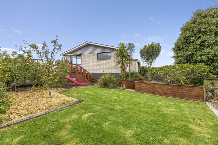 8 Clariton Avenue Green Island_25