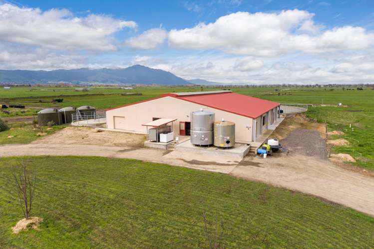 227 Endowment Road Te Aroha_6