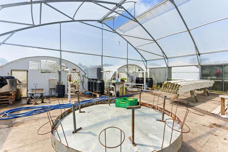 16 Lupton Street Waverley_8