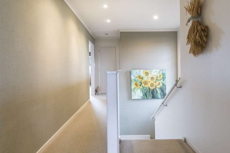 13 Coleman Place Katikati_11