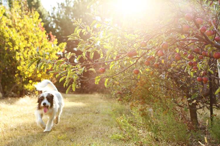 65 Butterfield Road_1