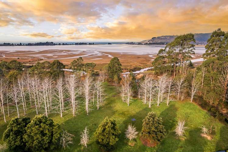 1830 Waikouaiti-Waitati Road Waitati_11