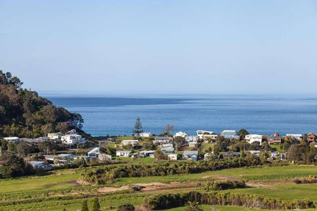 3 Mason Rise Tairua_2