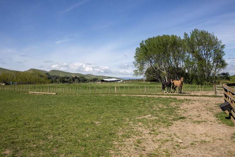 314 Rakaiatai Road Dannevirke_11