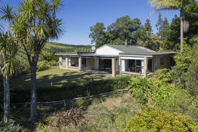 227 Youngson Road Whakamarama_1