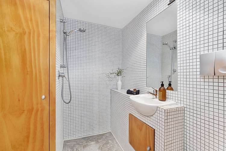 31 Aro Street Aro Valley_16