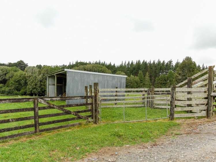 1059 Mountain Road Inglewood_36