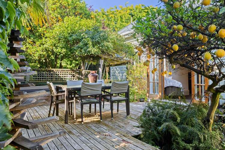 49 Dillons Point Road Islington_20