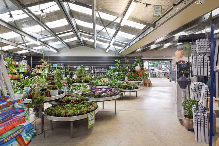 147 Sala Street Fenton Park_5