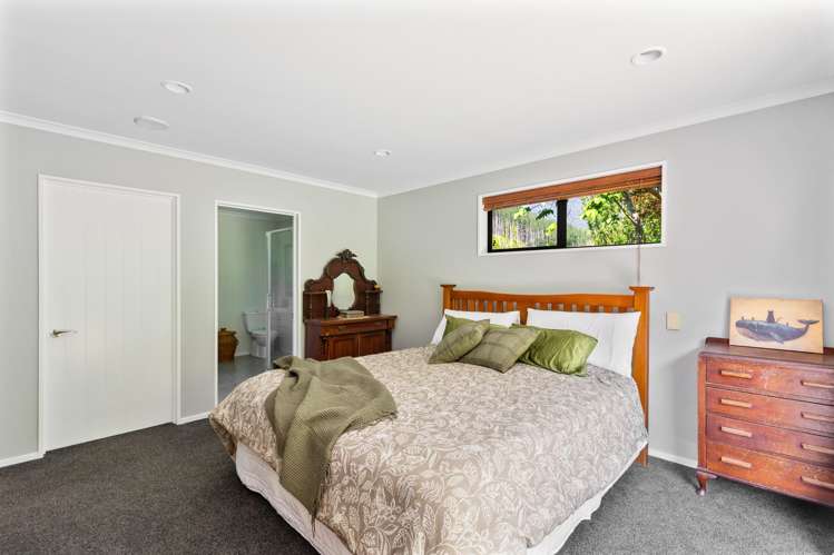 208 Mount Riley Road Okaramio_18