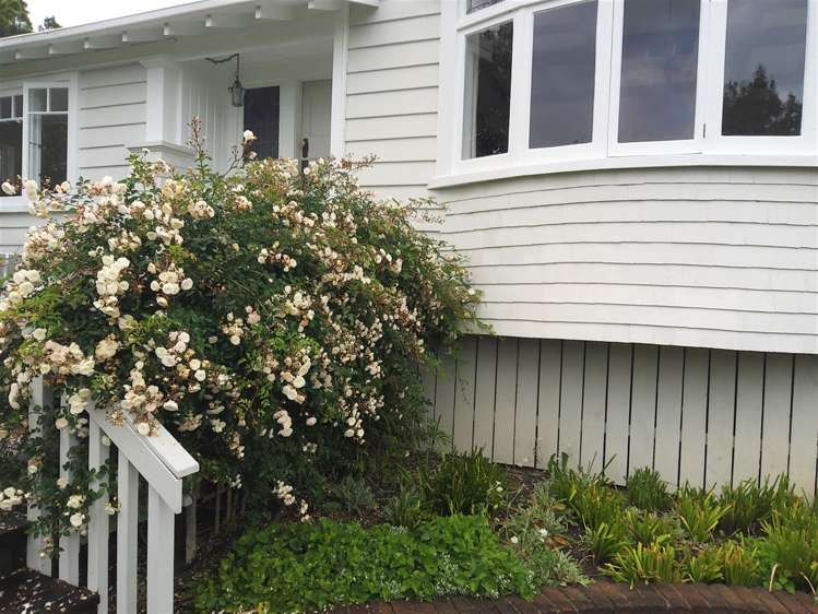 1325 East Coast Road Redvale_20