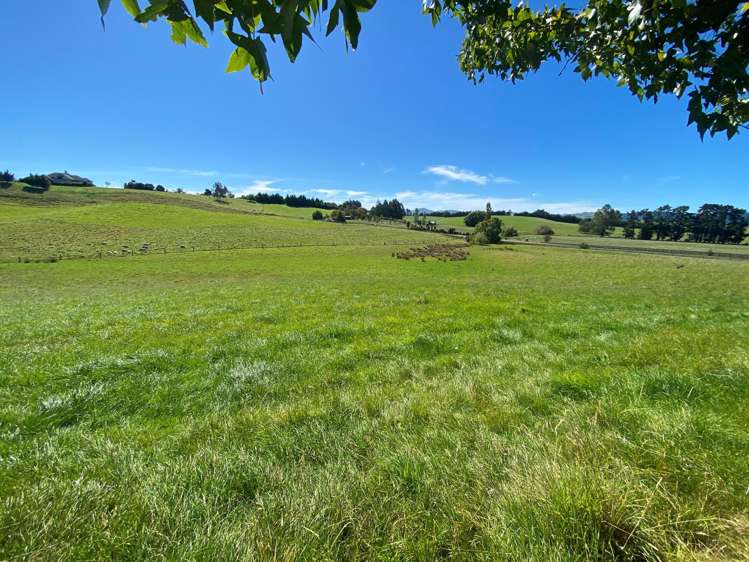 89 Cheviot Heights Cheviot_23