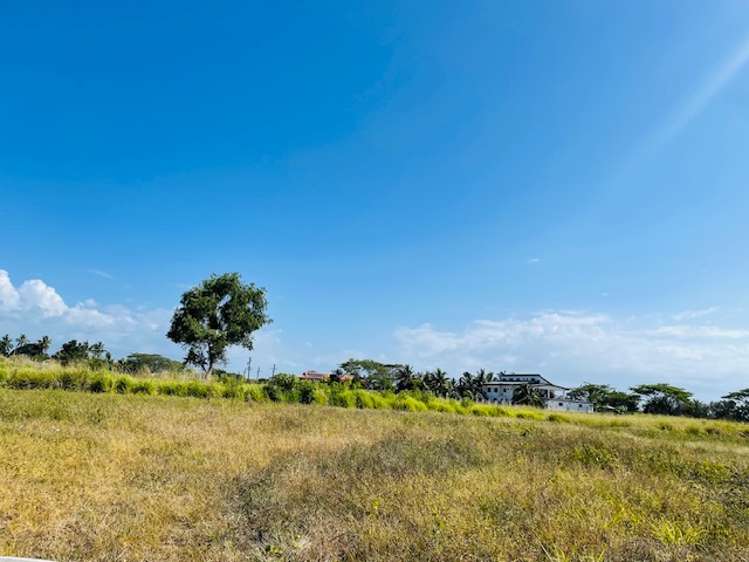 Lot 1 NAISOSOVU Nadi_5