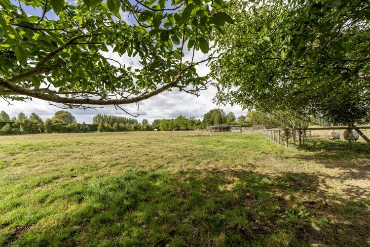 120 Cox Street Geraldine_33