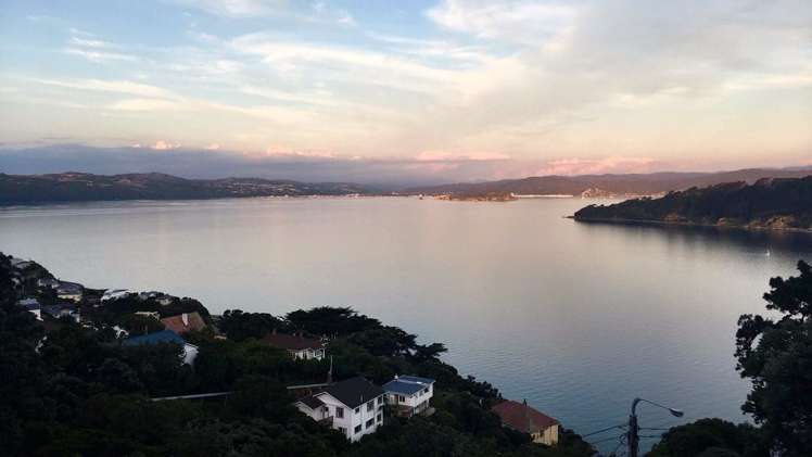 122 Grafton Road Roseneath_17