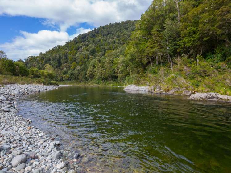 55 Maungatapu Road Rai Valley_6