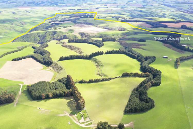 348 Keppoch Road West Otago Surrounds_17