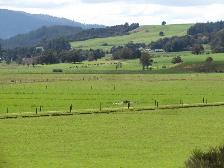 201 Rangiahua Road Horeke_10