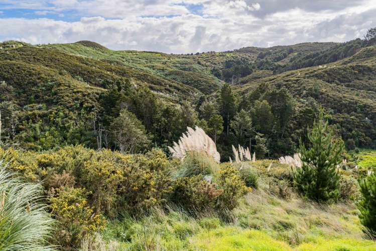 Lot 8/670 Bickerstaffe Road Maungaturoto_15