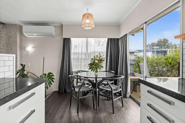 23 Plunket Street Tamatea_10