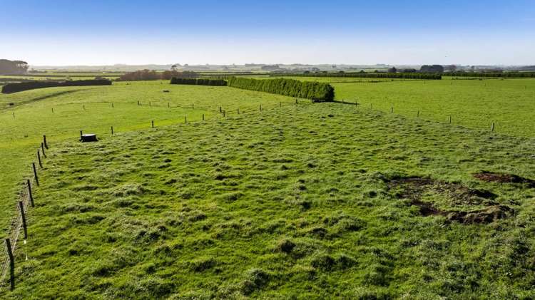 328 Austin Road Normanby_30
