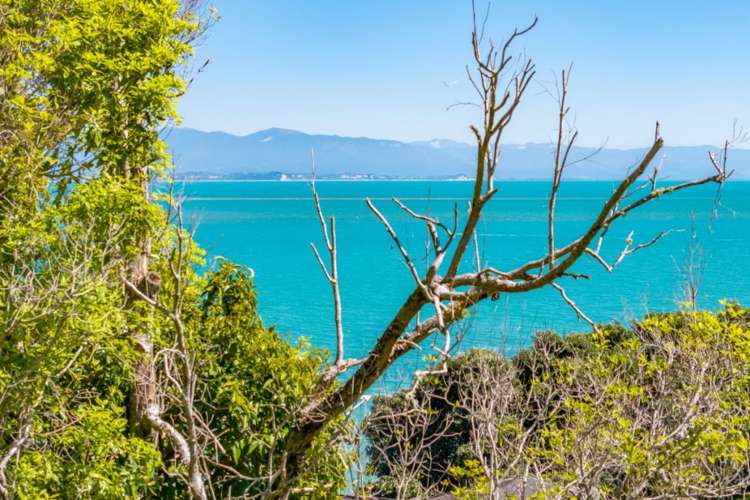 551 Rocks Road Moana_23