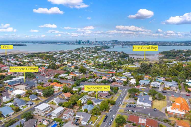 3 Woodside Avenue Northcote_22
