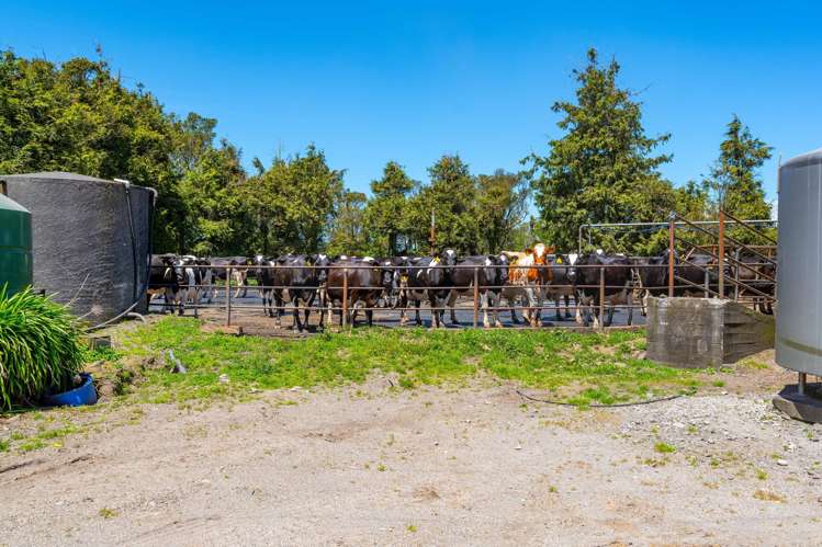 869 Dudley Road Upper Kaimiro_15