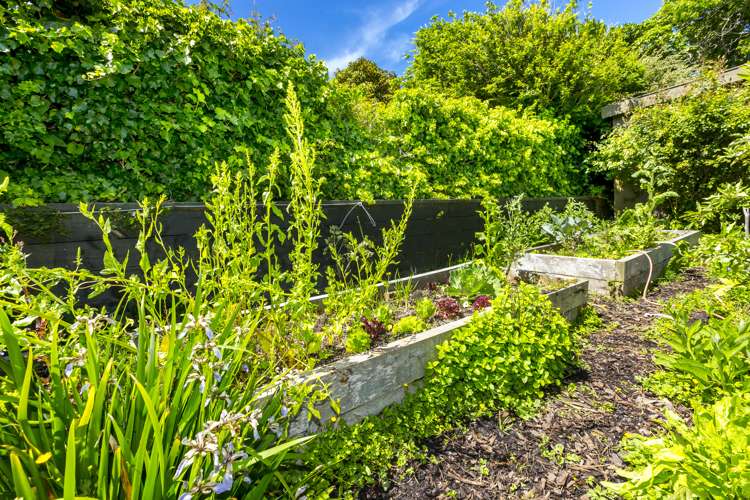 3 Wyndham Road Pinehaven_24