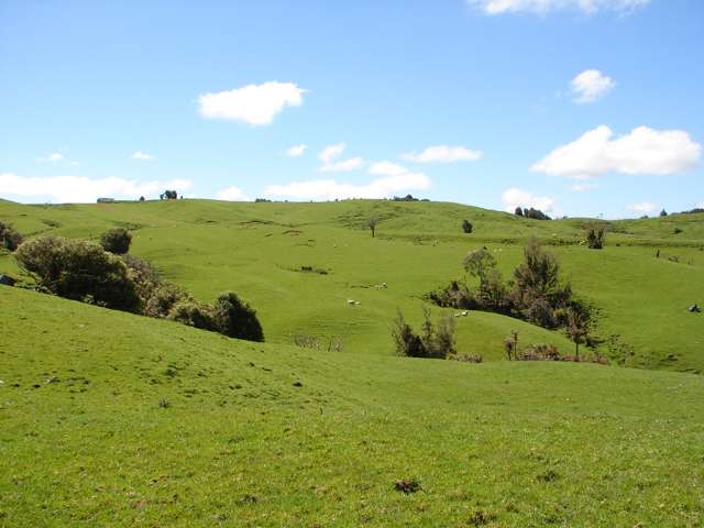 Mahoe Road Waitomo_4