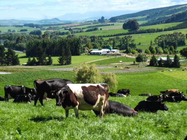 1101+1028 Otautau Tuatapere Road Merrivale_4