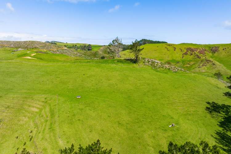 570b Notorious West Road Dargaville_1