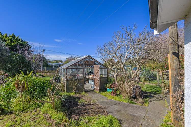 33 Daniell Street Bulls_15