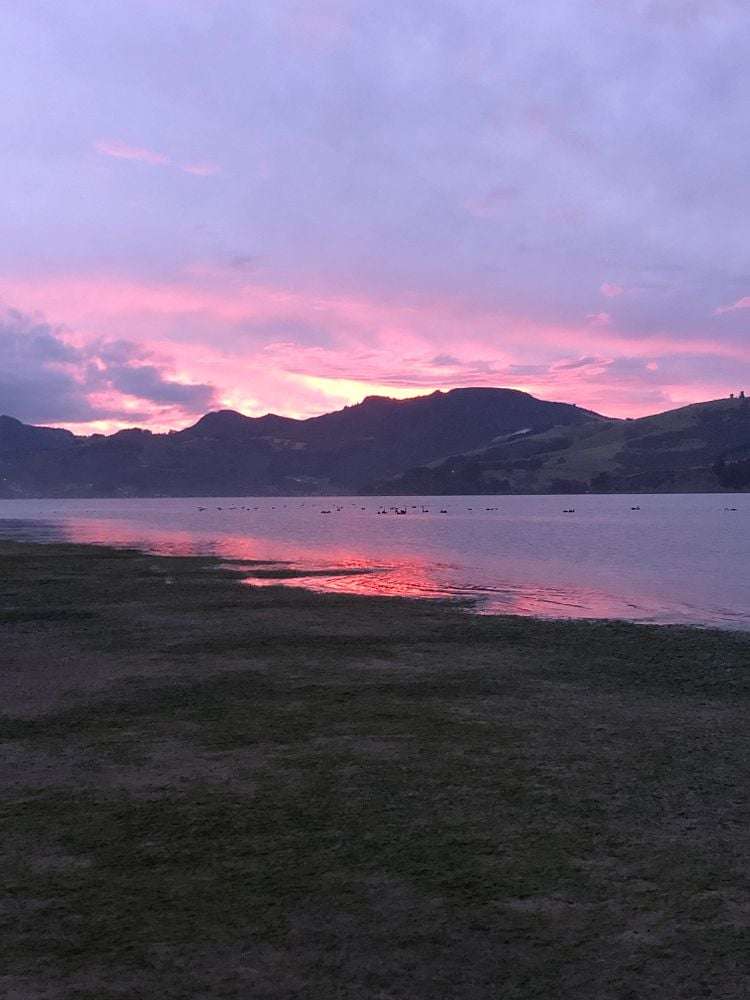 90 Otakou Golf Course Road Otakou_5