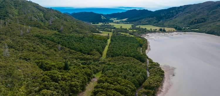 Kenepuru Head Marlborough Sounds_5