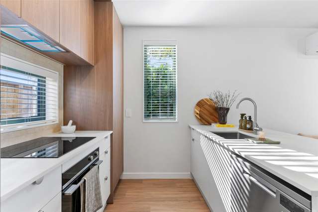 1 Olea Road Onehunga_3