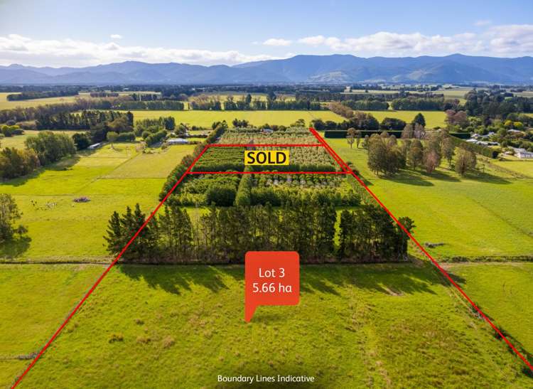 179 Bidwills Cutting Road Greytown_11