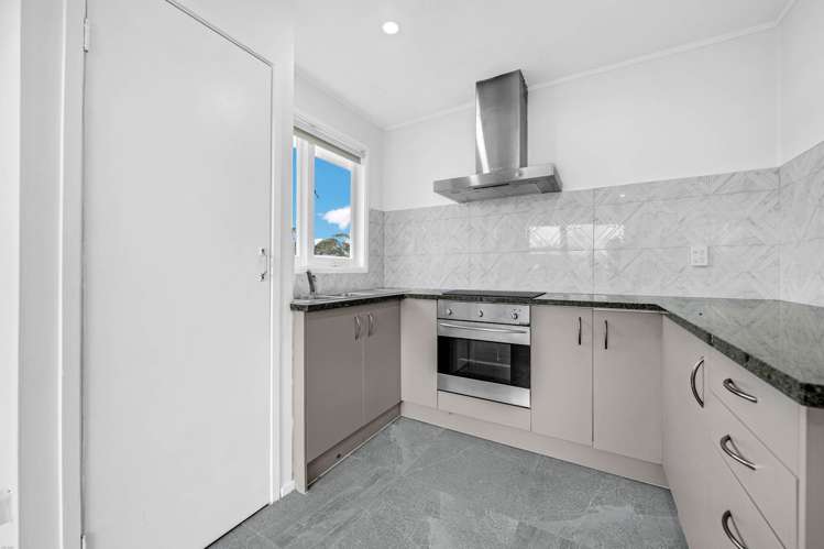 19 Ribblesdale Raod Henderson_9