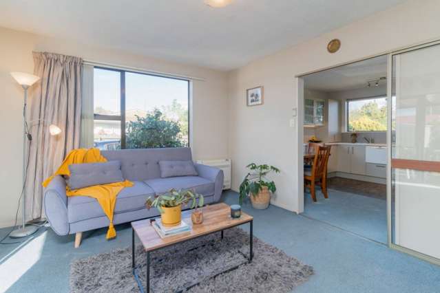 1/19 Ruakaka Street Hornby_1