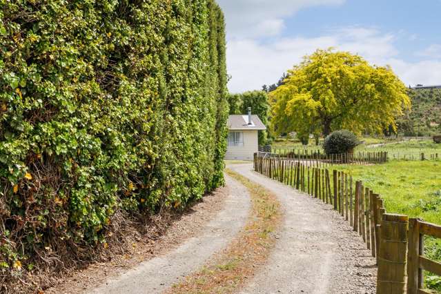823 Napier Road Whakarongo_1