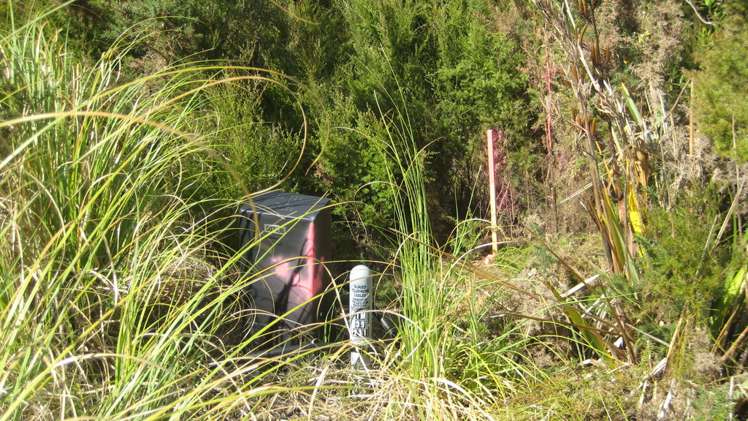 130 Stratford Drive Cable Bay_10