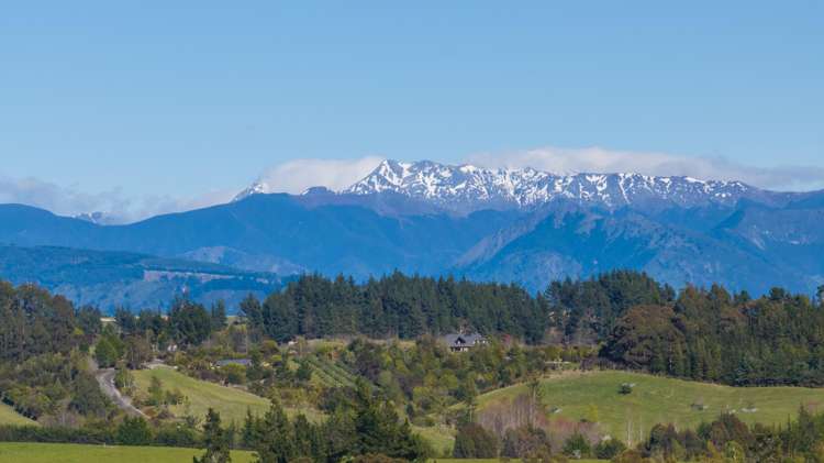 14 Te Papa Lane Tasman_10