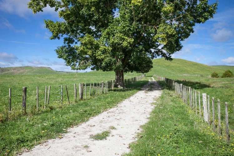 244 Whawharua Road Otorohanga_7