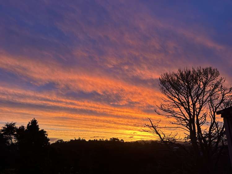 12 George Laurenson Lane Mount Roskill_26