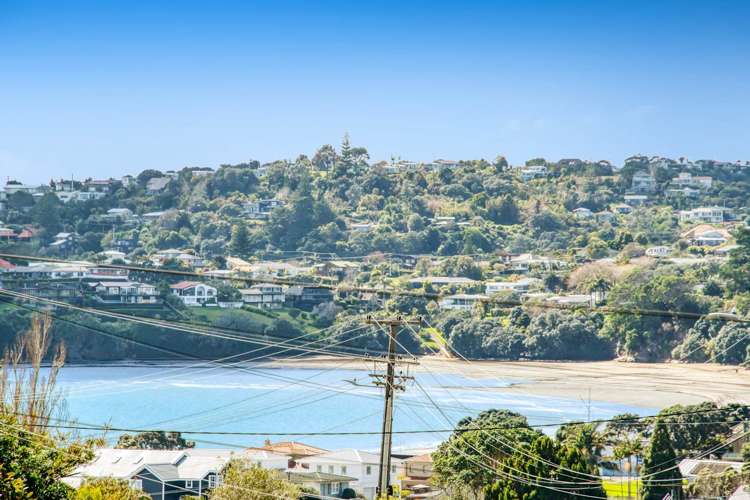 14a Layton Road Manly_16